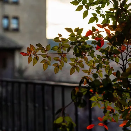 索斯德尔雷卡托利科帕拉朵酒店 酒店 4*