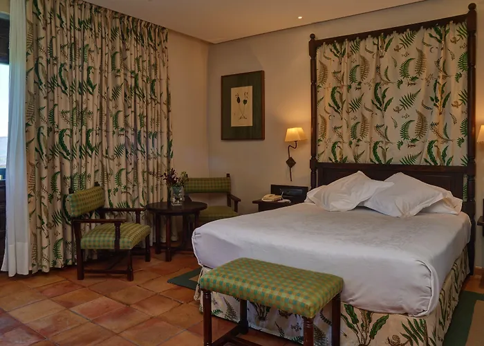 De Sos del Rey Católico